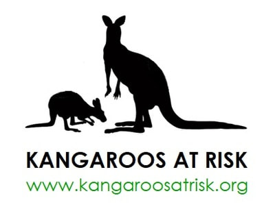 Kangaroos at Risk, Australia