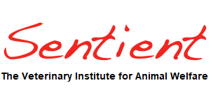 Sentient. The Veterinary Institute for Animal Welfare, Australia